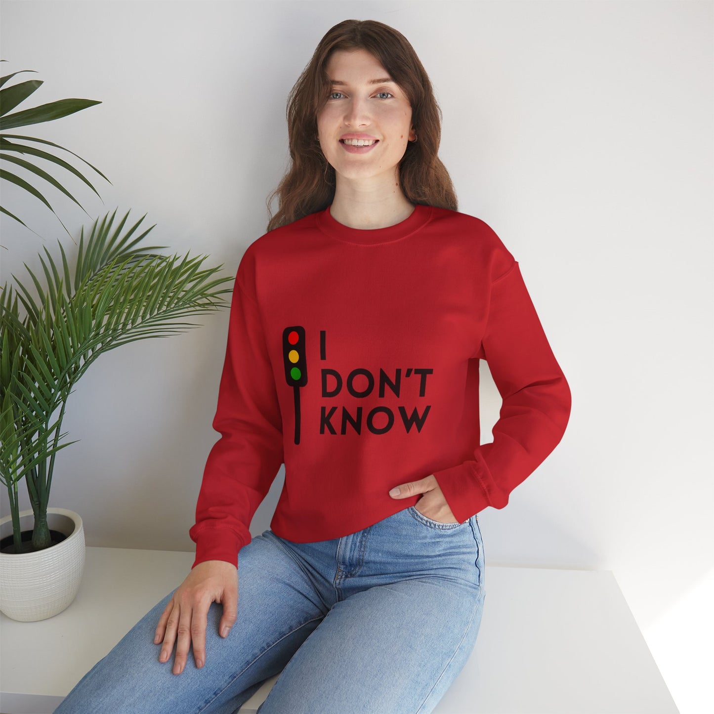 DBATC Inspired IDK Sweatshirt